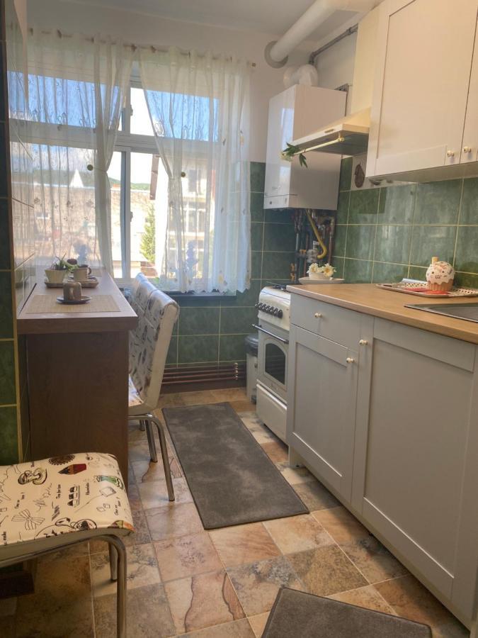 Apartament David Daire Pucioasa Dış mekan fotoğraf